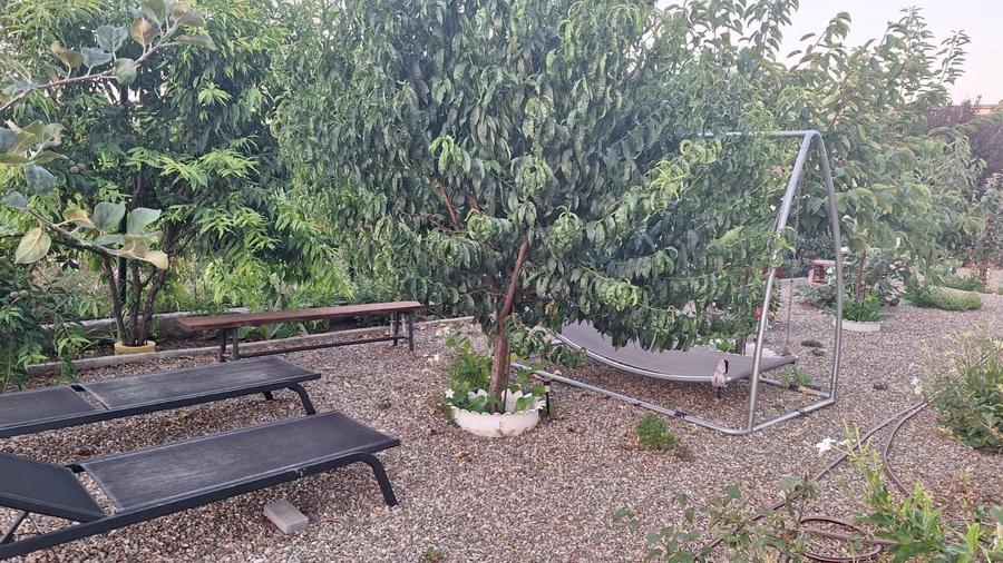 VILA UNICAT ULTRALUX P+1 +CASA CU TEREN 1412MP ZONA PALAZU MARE - 19