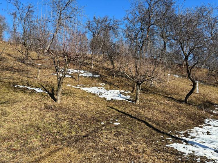 Casa gospodarului, bine intretinuta, cu teren generos Comarnic - 2