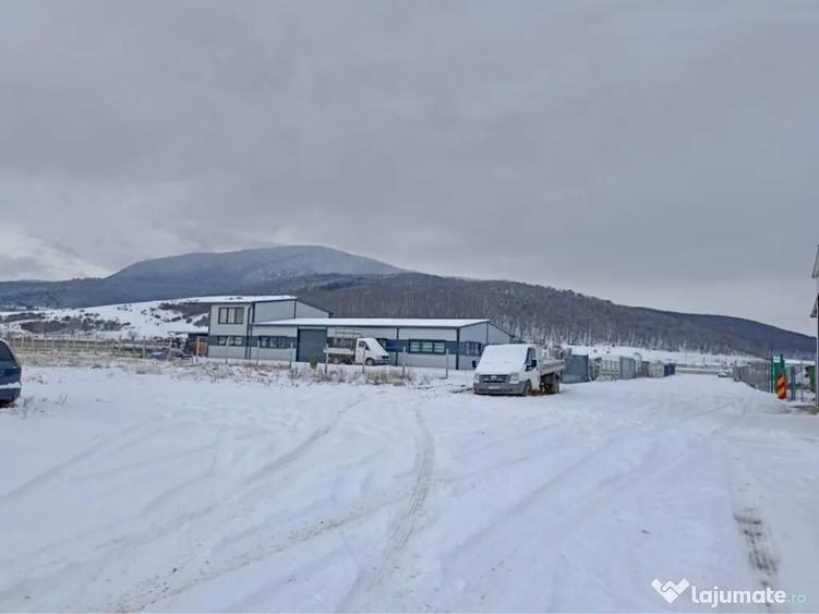 VANZARE Teren Industrial Codlea - PUZ Hale/Service 1850mp - 5