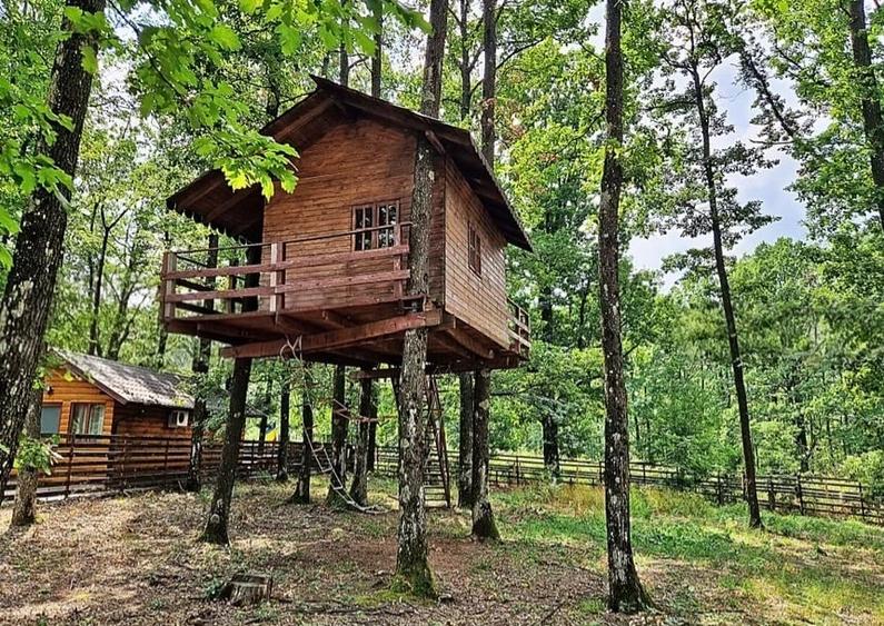 Vila / casa de vânzare - 2