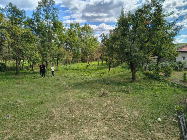 Teren intravilan 2000 mp Fieni toate utilitatile + drum asfaltat - 1