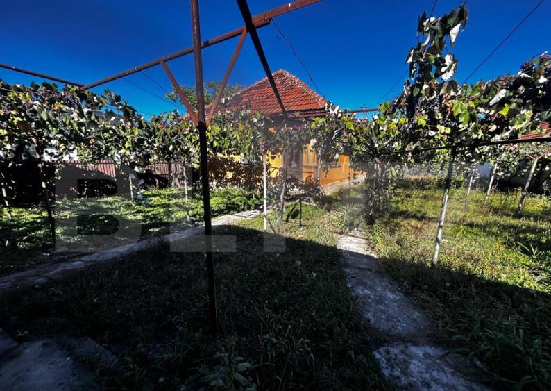 Doua casa de vanzare, teren intravilan 1773 mp, zona Stoloja - 2