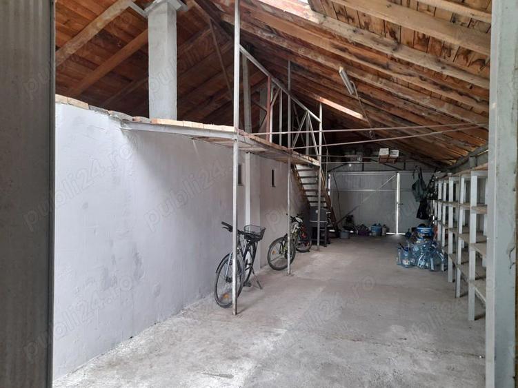 Vand casa Peciu Nou - 9