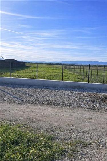 Teren deosebit, pozitionare facila, conditii avantajoase, Sanpetru - Bod - 5