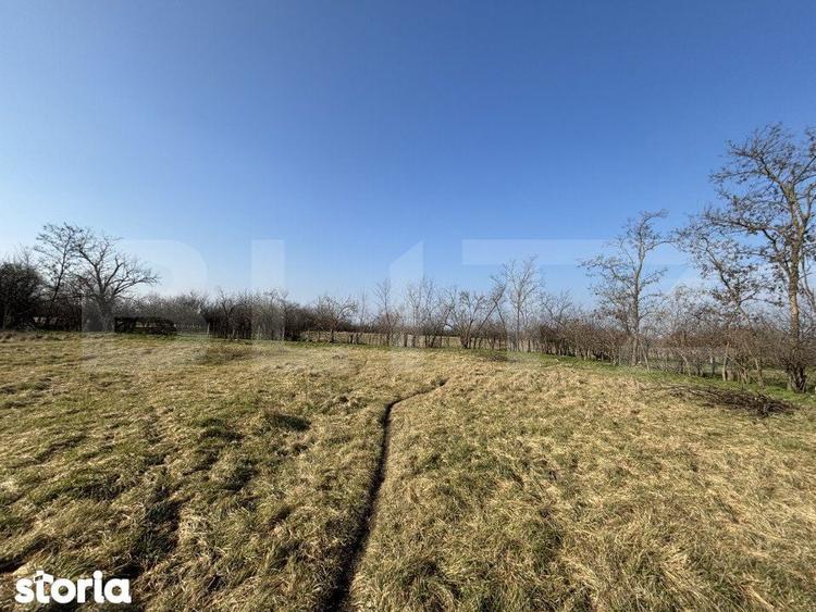 Teren intravilan, 500 mp, zona Beregsau Mare - 2