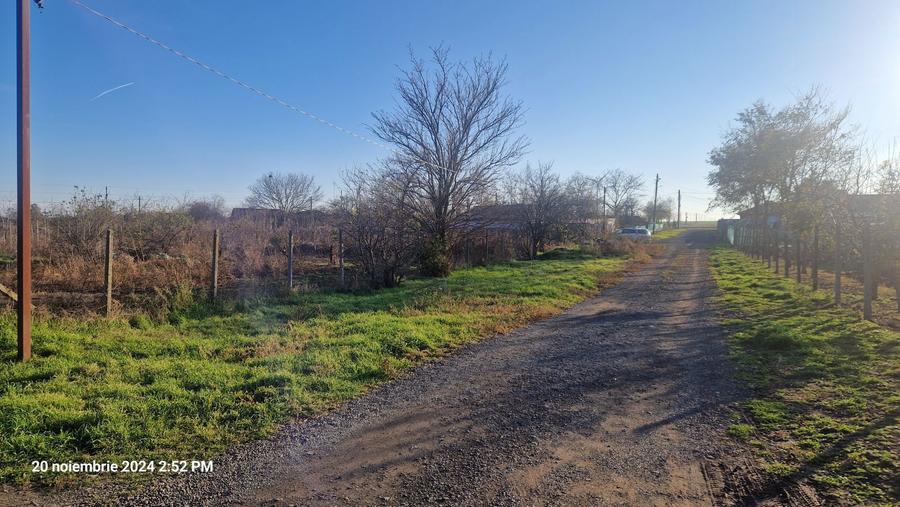 Teren de vanzare - 3