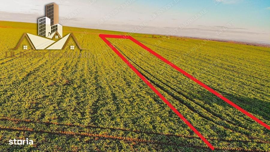 Teren Giarmata- asfalt-utilitati- PUG de locuinte colective - 3