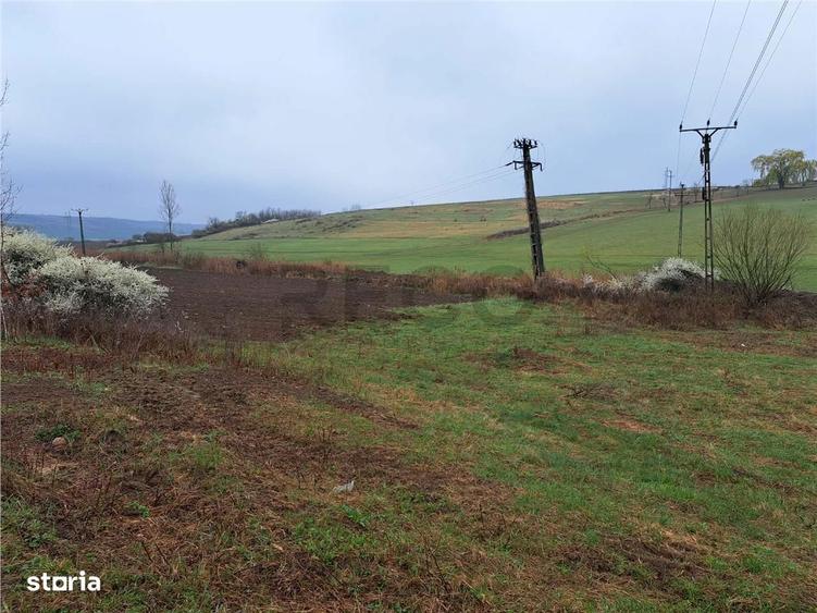 RECO teren Ghenetea - 3