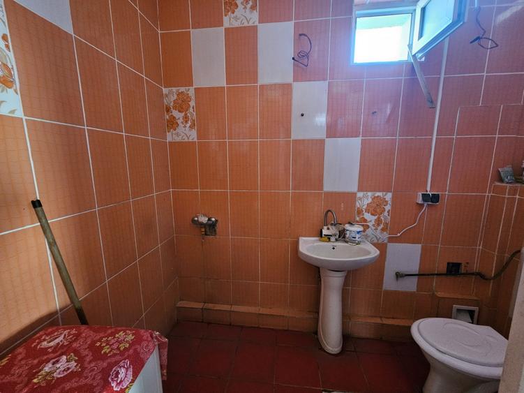 Casă mare, 400 mp utili, P+E+M, Timișoara, zona Mehala, comision 0% - 18