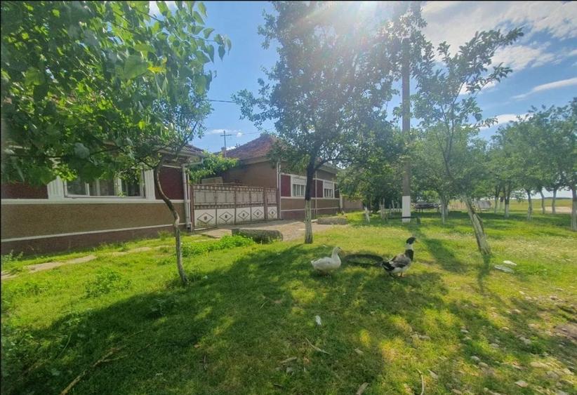 Vand casa la 10 km de Ineu - 13