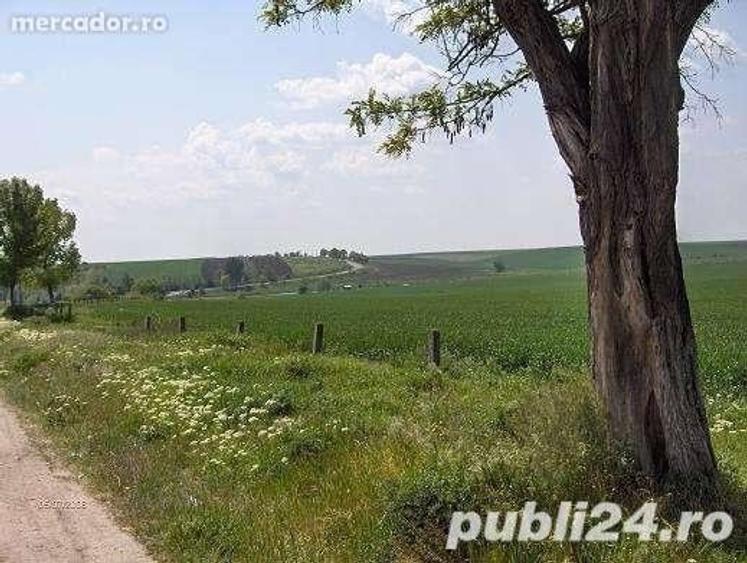 Vand teren stradal Alexandria, Teleorman - 2