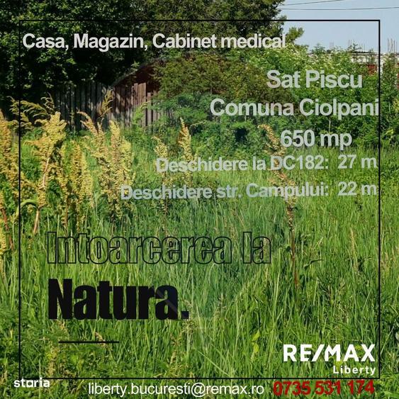 Oportunitate Investi?ie: Teren in Piscu, CiolpaniVizibilitate maxima - 2