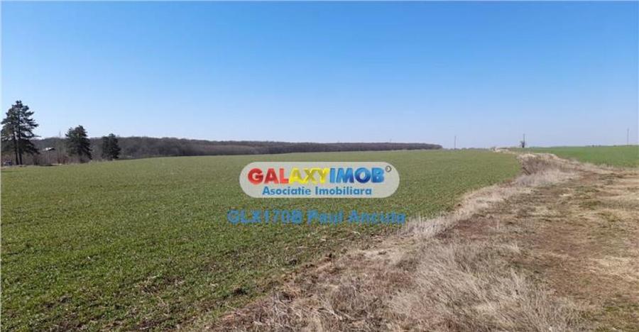 Teren Saftica 39300 mp latura Lac si Padure apropiere DN1 - 1