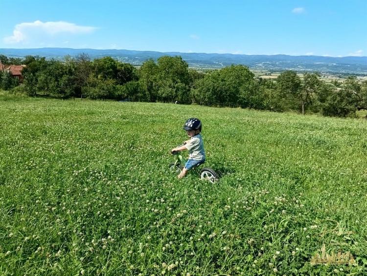 Teren extravilan 9093 mp de vanzare in Josani, com. Magesti - Bihor - 1