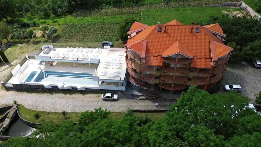 DE VANZARE Pensiune cu piscina, pastravarie, zona spa locatie de vis - 11