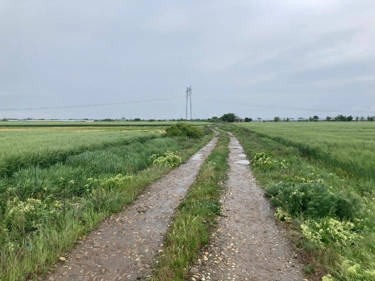 Vand teren intravilan in Sabareni, jud Giurgiu - 1