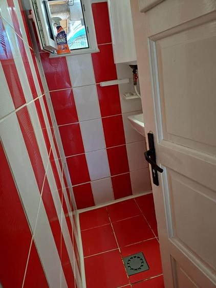 Garsoniera la curte - 6