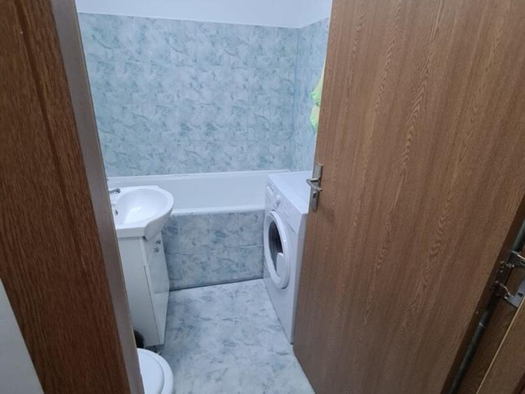 Titan, Theodor Pallady, 1 Decembrie 1918 - 14