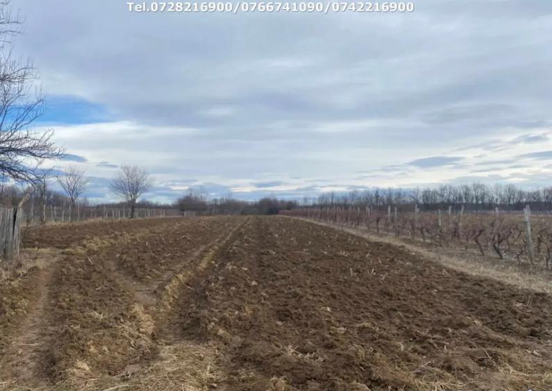 Casa situata in orasul Targu-Carbunesti , Localitatea Flor - 7