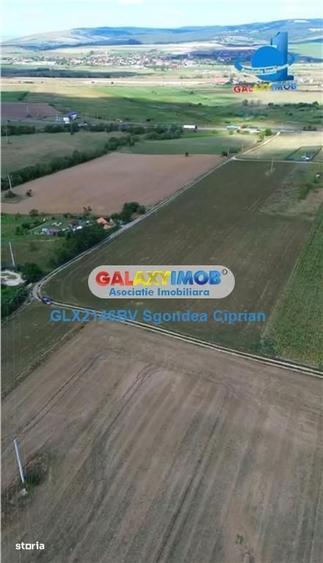 Teren De Vanzare Feldioara Utilitati In Apropiere - 3