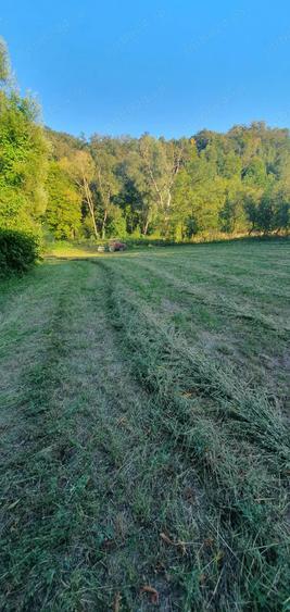 Casa de vanzare Domasnea, CS - 1