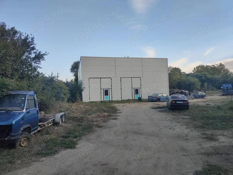 Casa cu teren 2200 mp si hala noua de 154 mp in localitatea Bodrogu Nou la 10 km de Arad - 8
