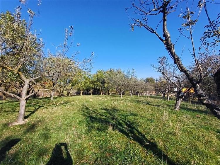 Teren de vanzare cu toate utilitatile la poarta - 6