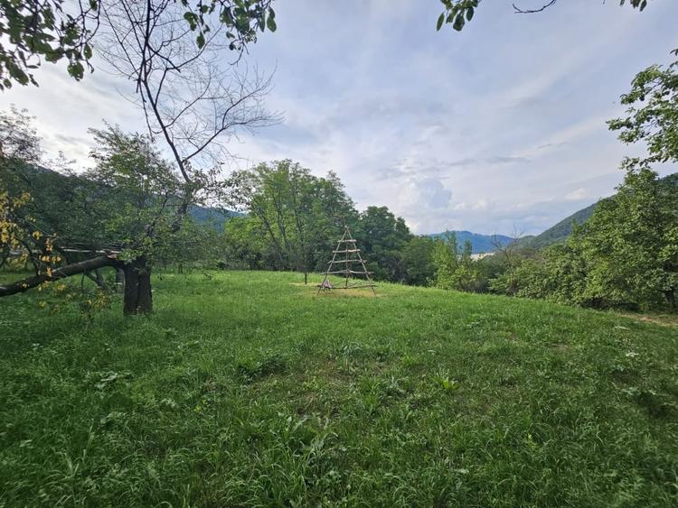 TEREN DE VANZARE SECIURI - 2