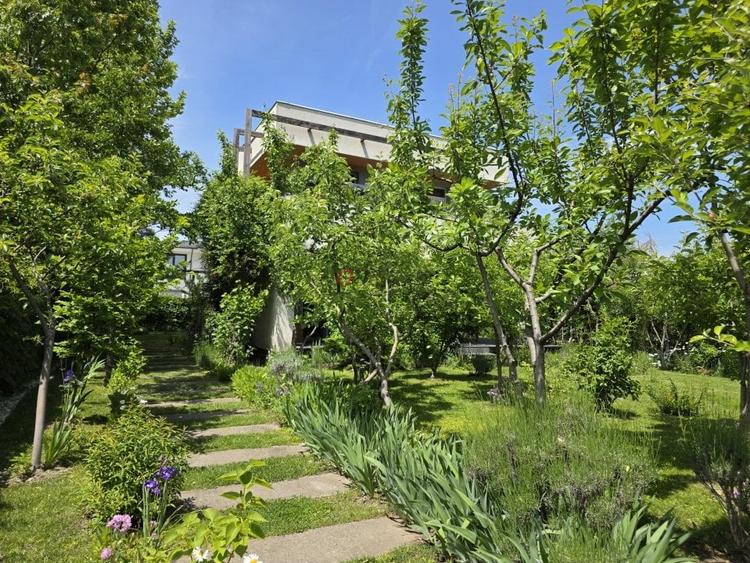 Refugiu Verde in Corbeanca – Vila Premium cu Gradina Matura - 8