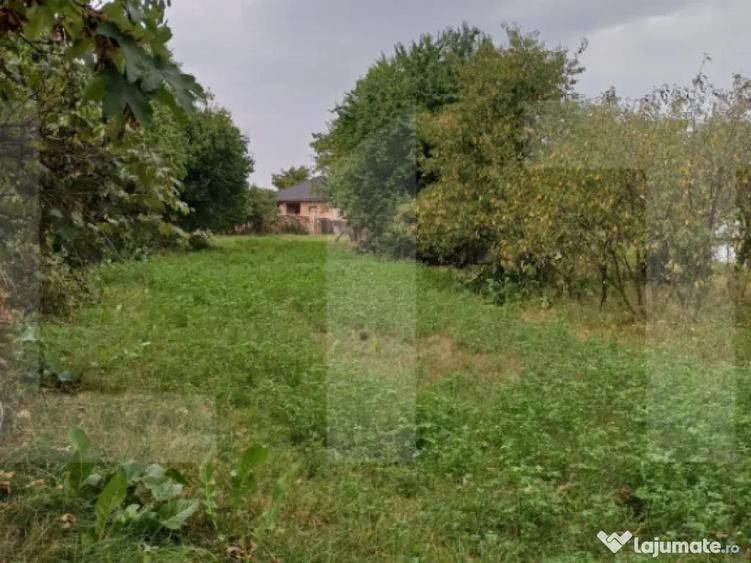 Casa taraneasca in centru Hatuica - 3