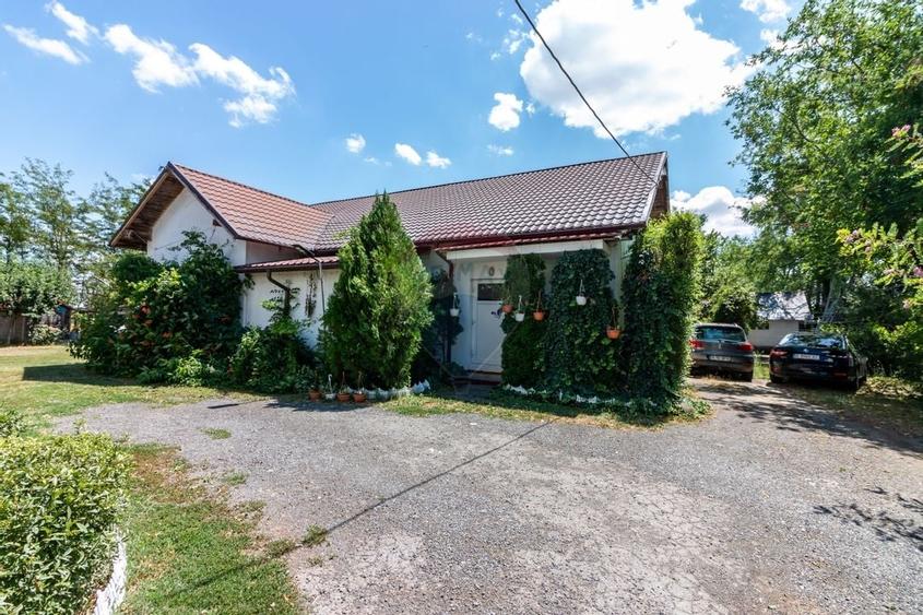 Casa+Laborator+ Teren 12.700 mp + casa de vacanta - Bolintin Vale - 6