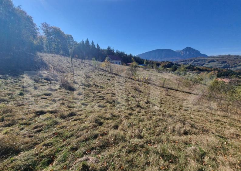 Teren pentru casute de vacanta - Poiana Marului - vedere la - 4