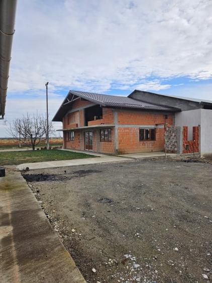 Gotlob - Hala Utilaje - Casa rosu - 4