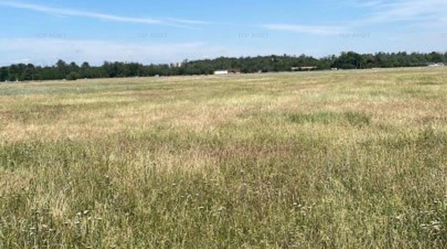 Teren de vanzare in Pipera - 4