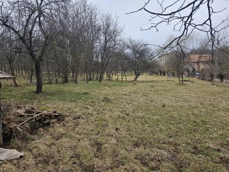 Casa de vanzare in Sat Sacel, Com. Baisoara - 3