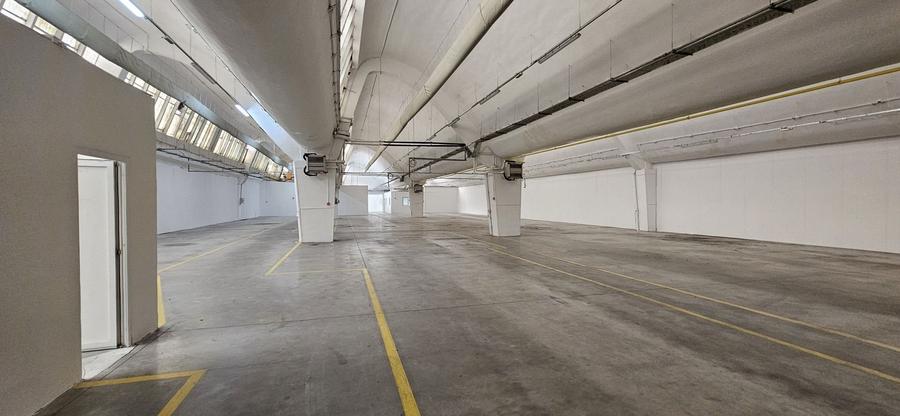 Pantelimon hala productie depozitare - 38