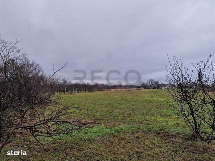 Teren mare cu 2 case de demolat in Gepiu - 1