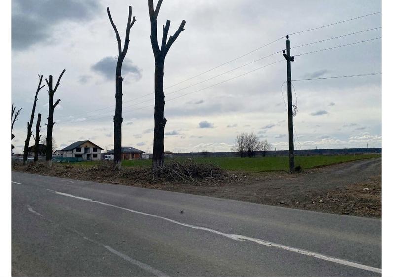 Teren intravilan 665 mp  (550m2 utili) – la șosea principală - 9