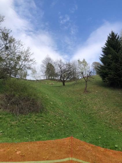 Teren intravilan, 19 eur/mp,  de -a lungul raului Simon( Bran-Brasov) - 2