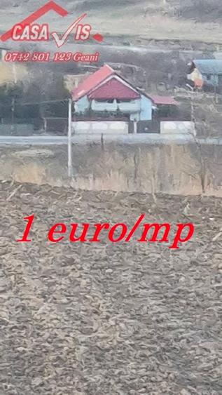 Teren 1 euro/mp pentru iarba verde - 6