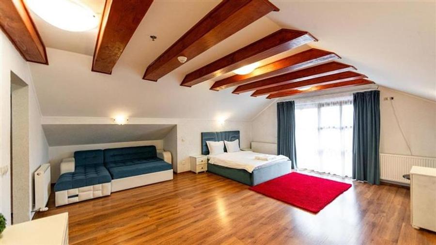 Domeniu turistic, zona pitoreasca, priveliste, aer curat, conditii speciale - 15