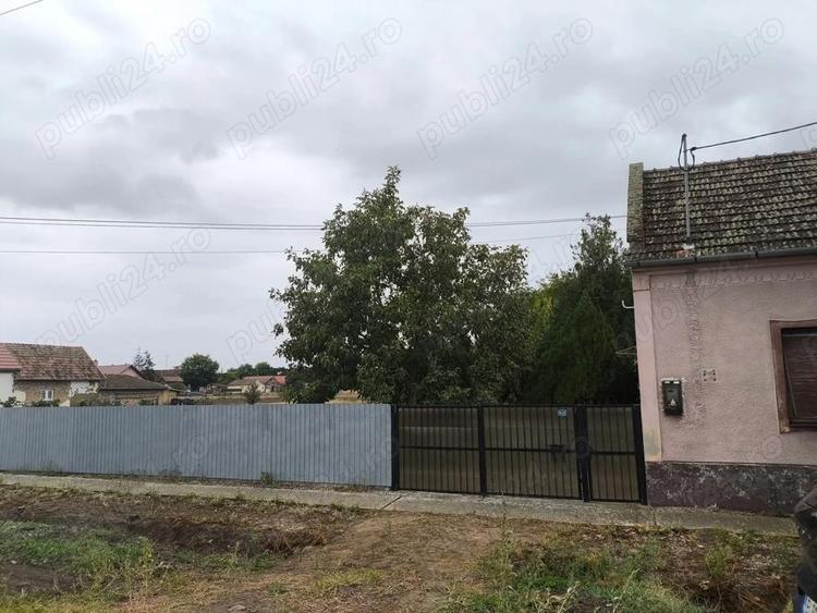 Casa de vanzare la Cenad - 3