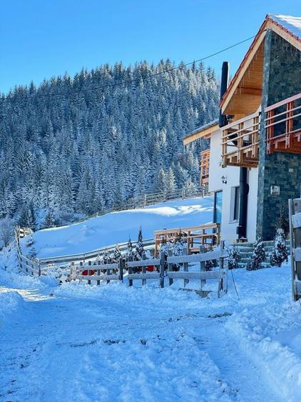 Inchiriez Casa de Sub Munte Fundata - 6