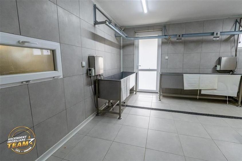 FILM! Ferma de iepuri,Malnas,Covasna: domeniu:comercial/industrial,asset UE - 6