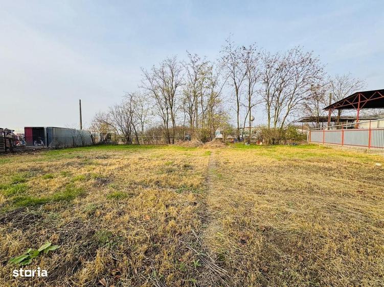 Spatiu Comercial in Rosiori - 3