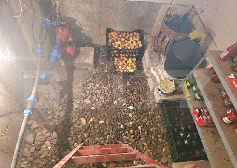 Proprietate Excep?ionala in Mircea Voda | 1.749 mp Teren - 26