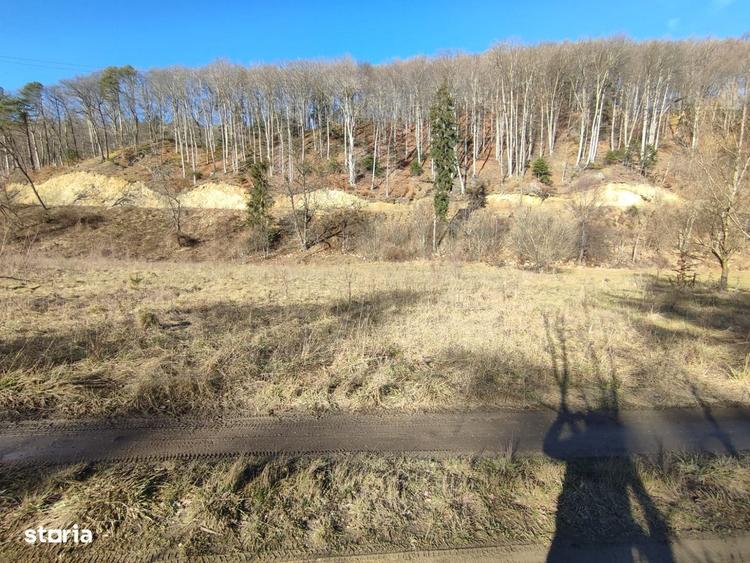 Teren Intravilan 1150mp, Timisu de Jos, Dambul Morii - 4