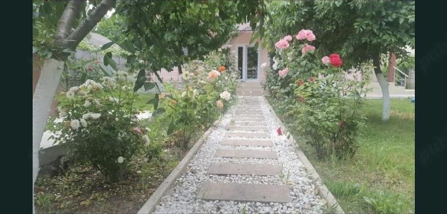 Casa cu 5 camere 264mp utili Silistea Snagovului - 7