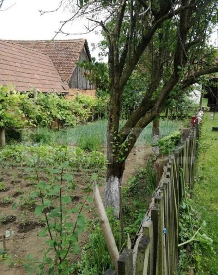 Casa off-grid 5 camere Sangatin - 1