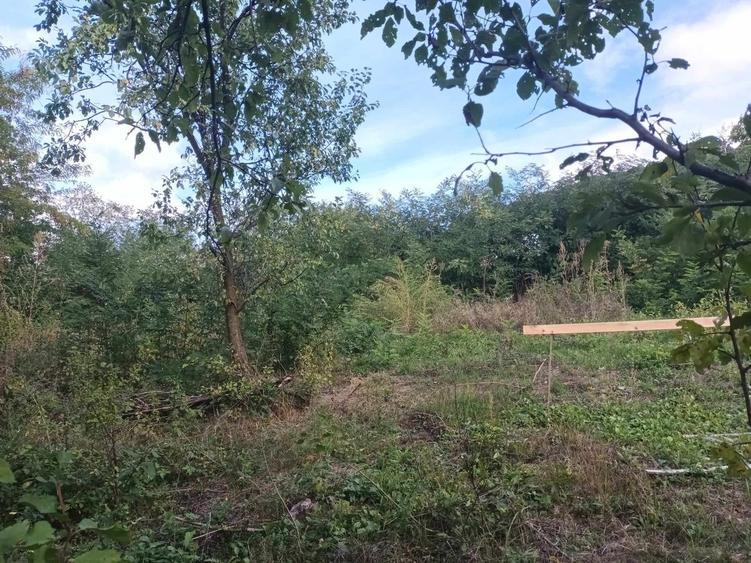 Teren 1130 mp Satul Malu Mierii, comuna Glodeni, Dambovita - 3